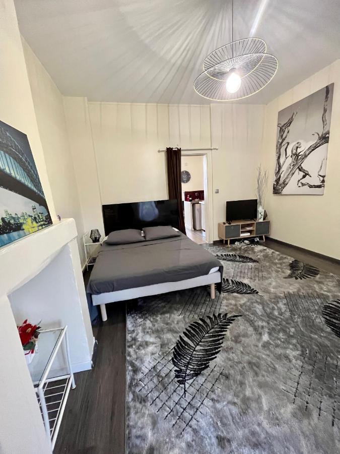 Superbe Appartement, Proche Gare, Jardin/Terrasse - Dabnb Limoges Kültér fotó